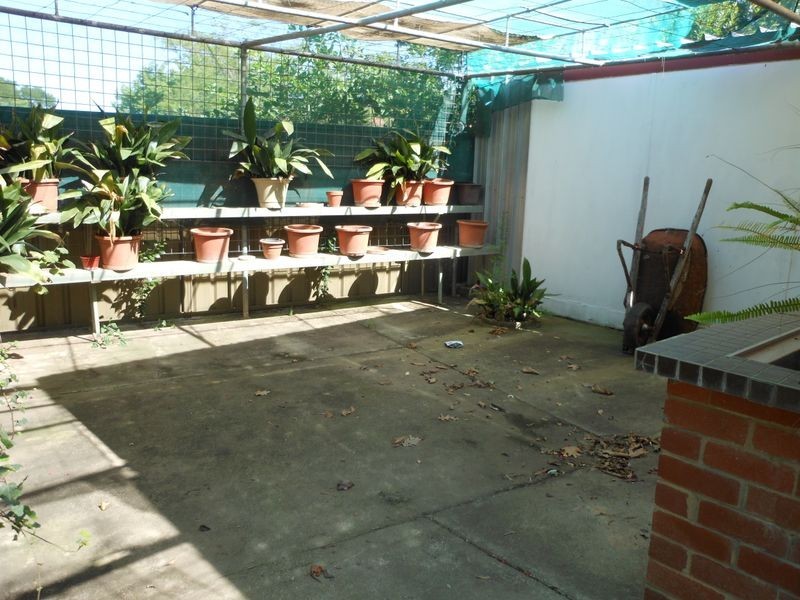 43 Theodore Street, Curtin ACT 2605
