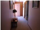 43 Theodore Street, Curtin ACT 2605