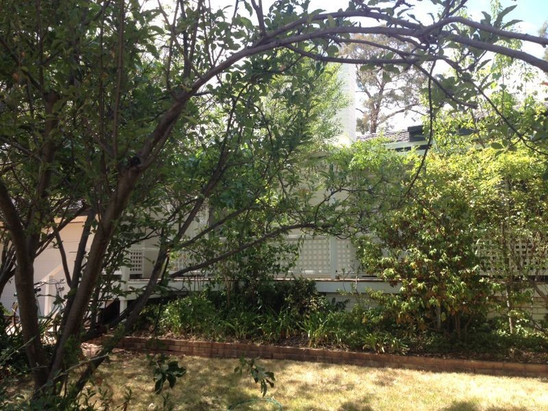 3 Bremer Street, Griffith ACT 2603