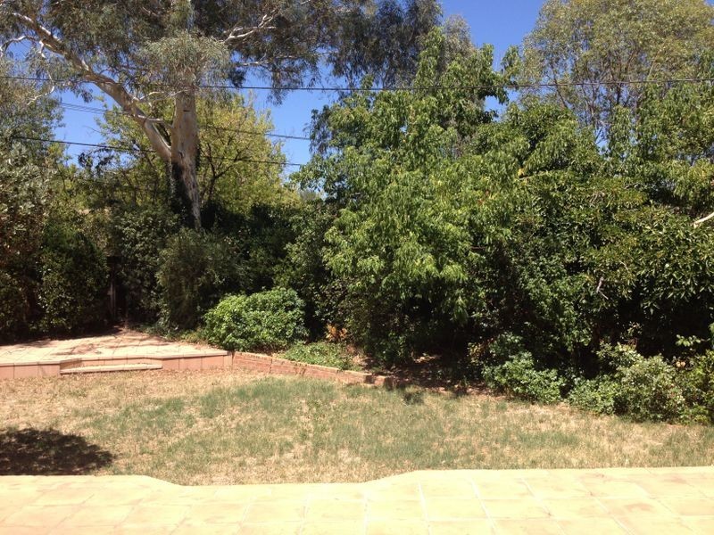 3 Bremer Street, Griffith ACT 2603