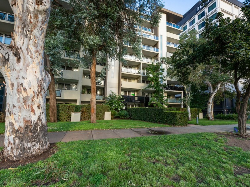 43/219A Northbourne Avenue, Turner ACT 2612