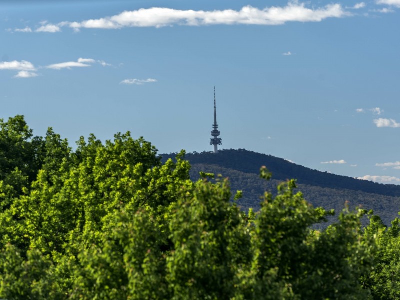40 Investigator Street, Red Hill ACT 2603