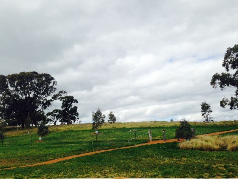 7 Eve Langley Street, Franklin ACT 2913