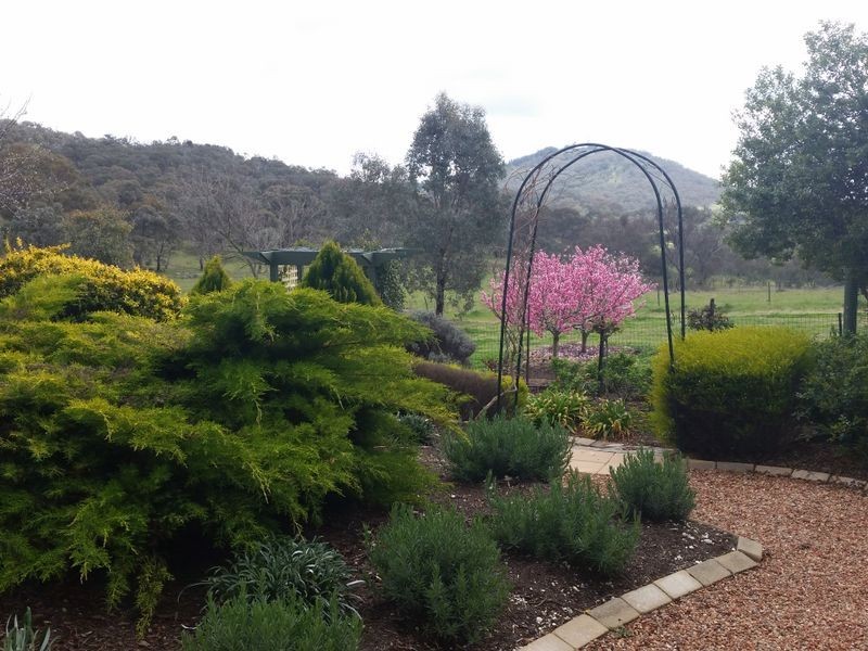 9 Bracker Place, Macarthur ACT 2904