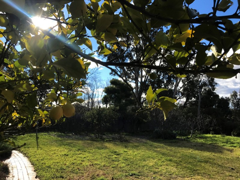 70 Arthur Circle, Forrest ACT 2603