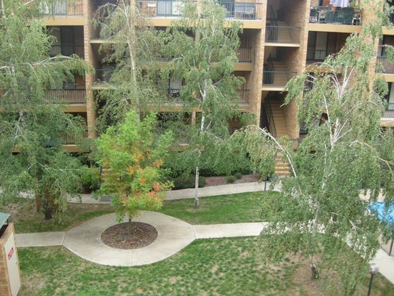 8/17-19 Oxley Street, Griffith ACT 2603