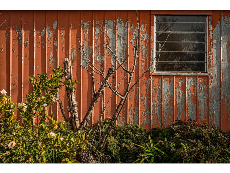 3 Whyte Place, Curtin ACT 2605