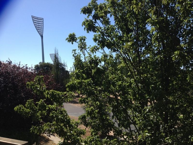 2/6 Oxley Street, Griffith ACT 2603