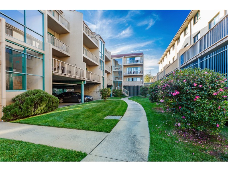 61/53 McMillan Crescent, Griffith ACT 2603