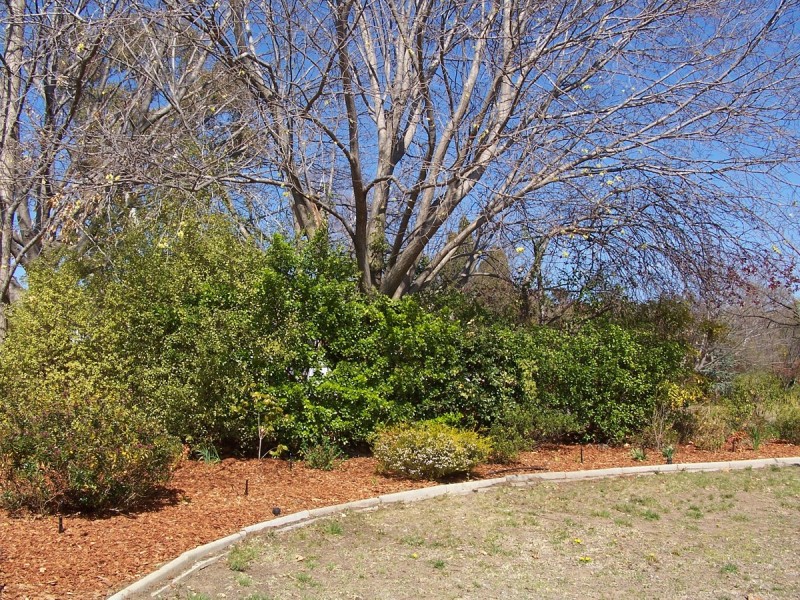 238 La Perouse Street, Red Hill ACT 2603
