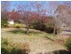 238 La Perouse Street, Red Hill ACT 2603