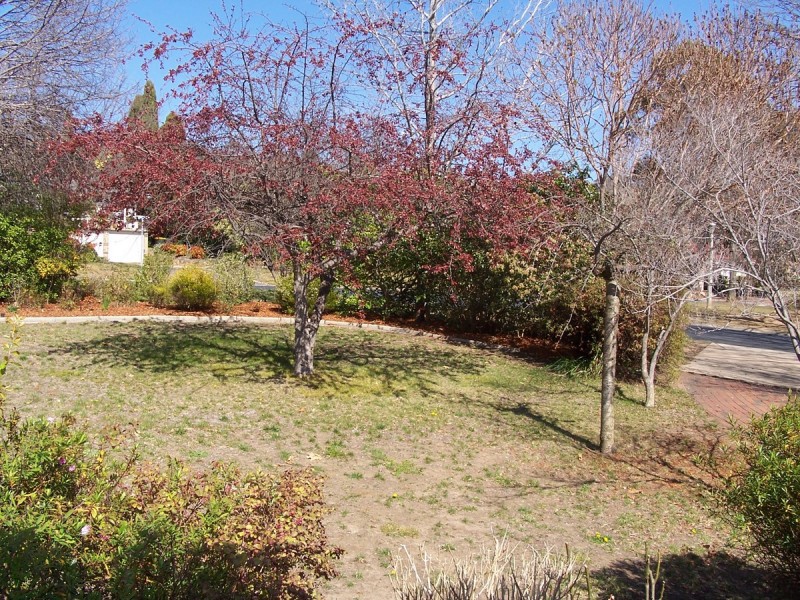 238 La Perouse Street, Red Hill ACT 2603