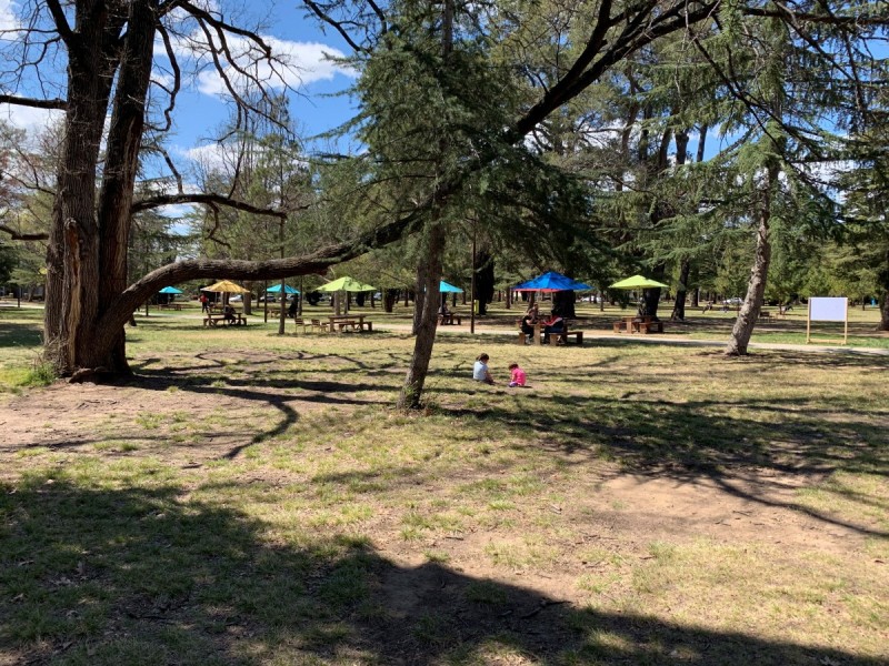 56/35 Torrens Street, Braddon ACT 2612