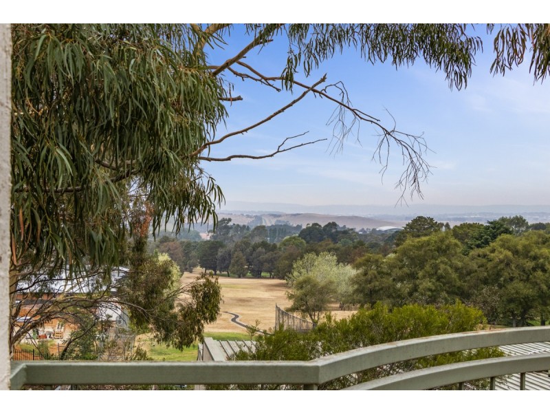3/41 Leahy Close, Narrabundah ACT 2604
