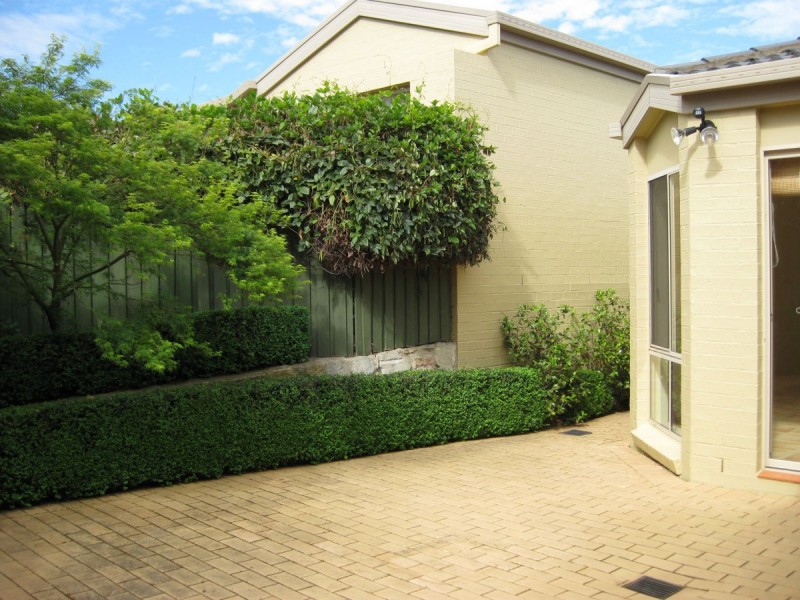 3/19 Carandini Street, Melba ACT 2615