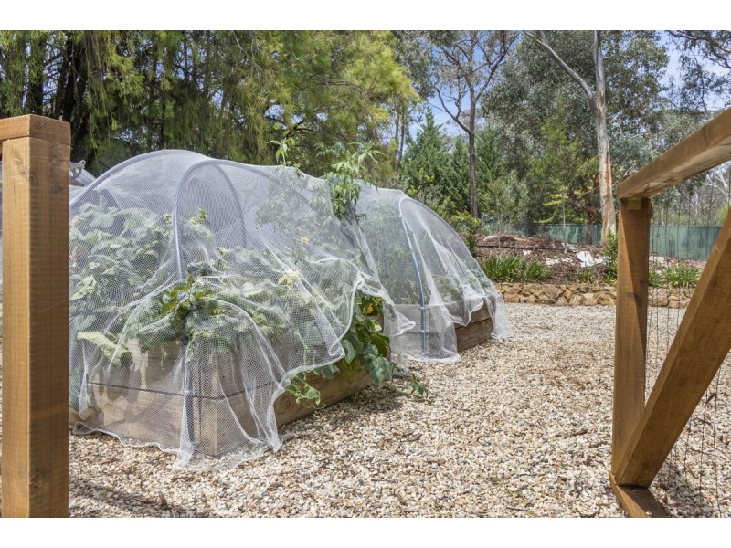 32 Carolyn Jackson Drive, Jerrabomberra NSW 2619