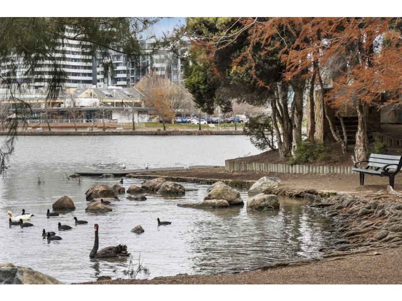 33/1 Playfair Place, Belconnen ACT 2617