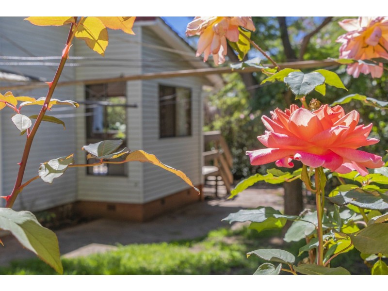 3 Yamba Place, Narrabundah ACT 2604