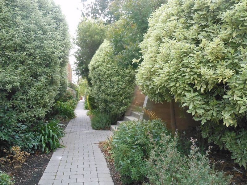 11A/43-51 Giles Street, Kingston ACT 2604