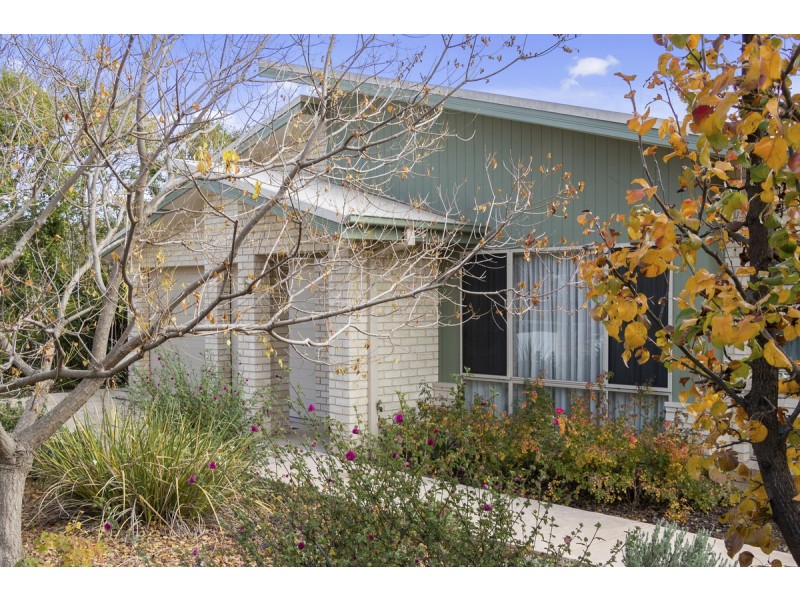 6 Hartog Street, Griffith ACT 2603