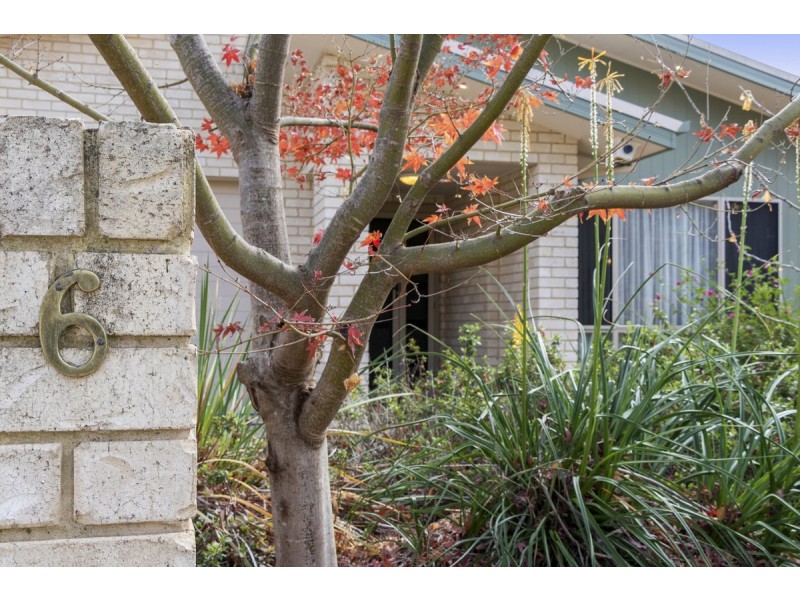 6 Hartog Street, Griffith ACT 2603