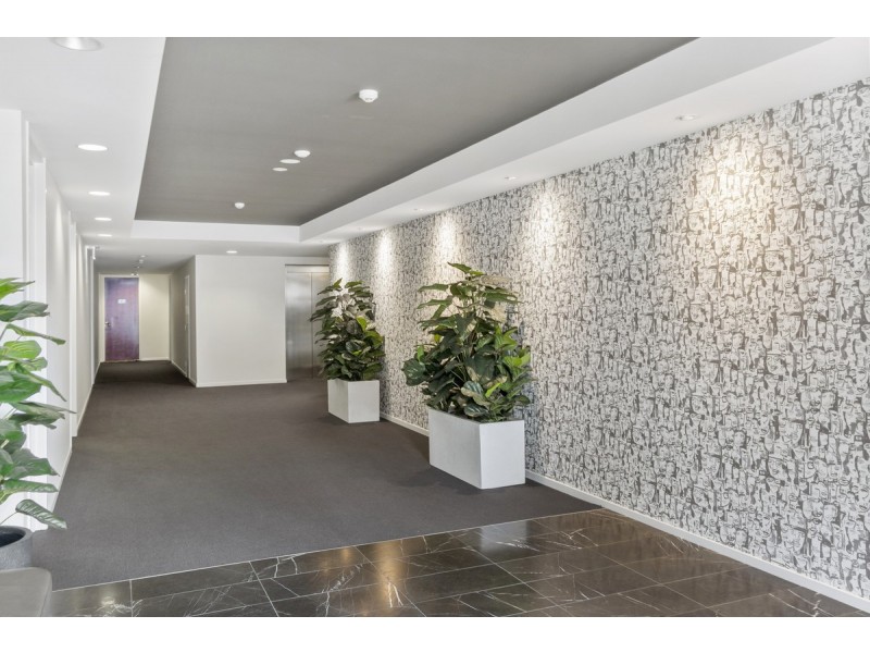 41/76 Leichhardt Street, Griffith ACT 2603