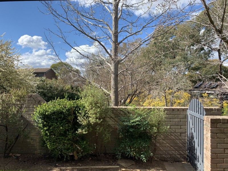 105 Barnet Close, Swinger Hill ACT 2606
