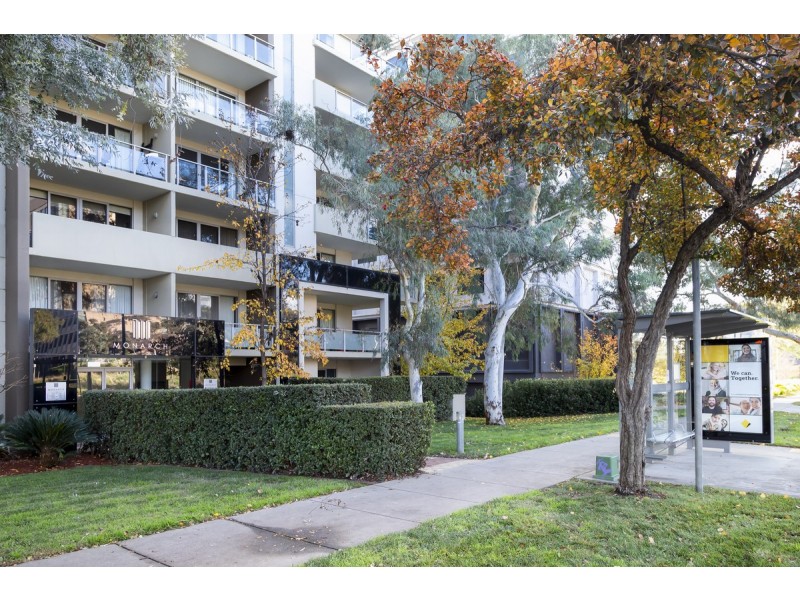 43/219A Northbourne Avenue, Turner ACT 2612