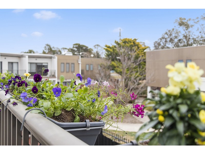 69/39 Jerrabomberra Avenue, Narrabundah ACT 2604