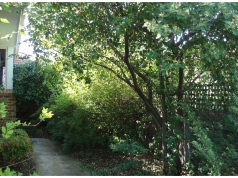 152 Julia Flynn Avenue, Isaacs ACT 2607