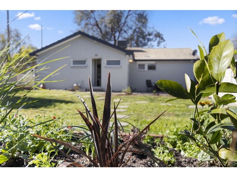 43 Green Street, Narrabundah ACT 2604