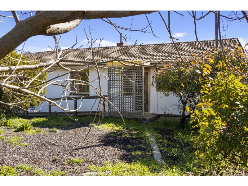 15 Bell Street, Griffith ACT 2603