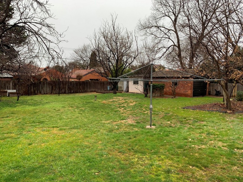 81 Captain Cook Crescent, Narrabundah ACT 2604