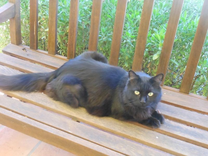 2 Warby Place, Charnwood ACT 2615