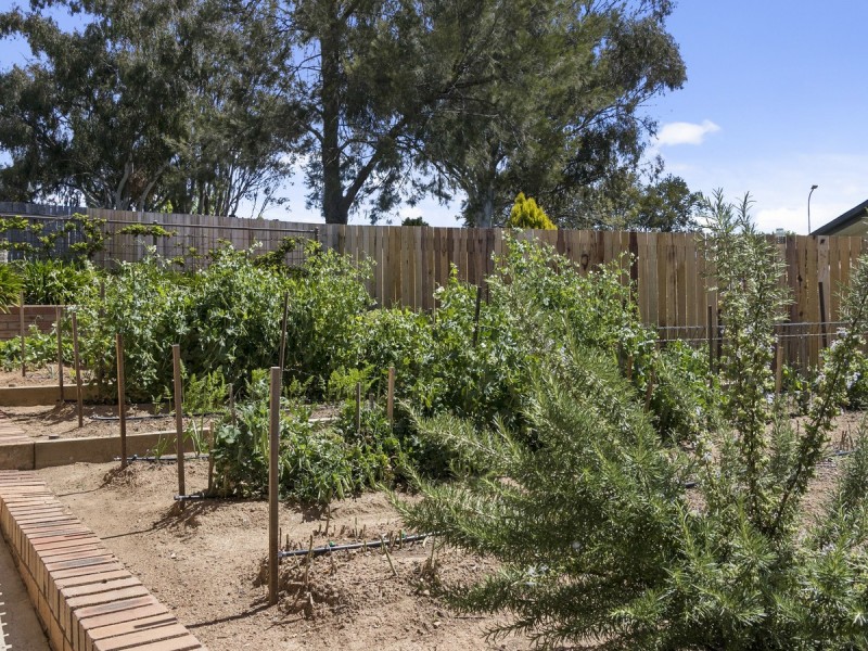 1 Fielder Place, Florey ACT 2615