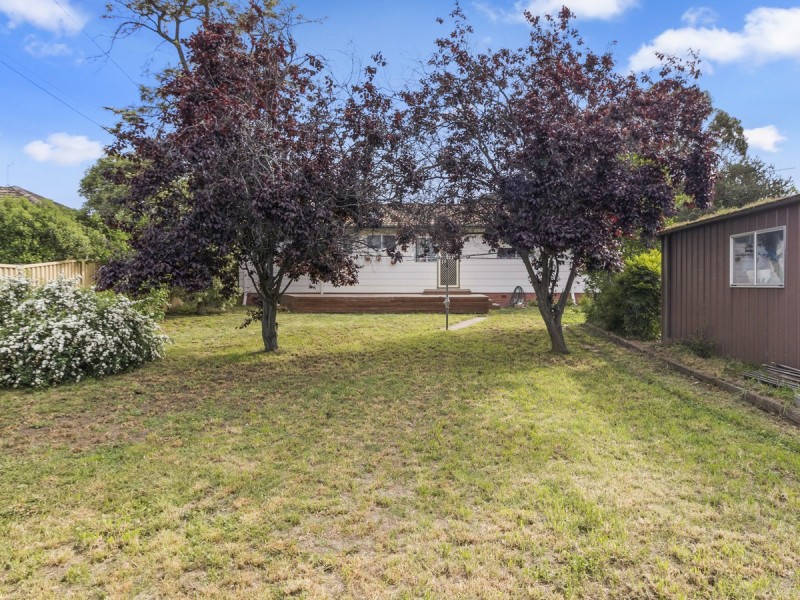43 Jefferis Street, Torrens ACT 2607