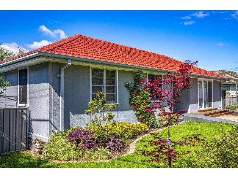 14 Toolambi Street, Narrabundah ACT 2604