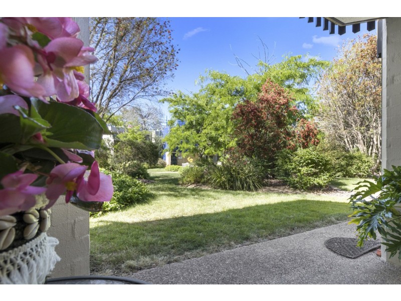 41 Darling Street, Barton ACT 2600