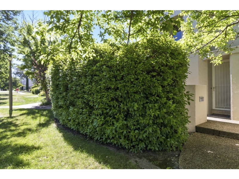 41 Darling Street, Barton ACT 2600