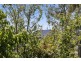 4 Beagle Street, Red Hill ACT 2603