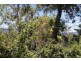 4 Beagle Street, Red Hill ACT 2603