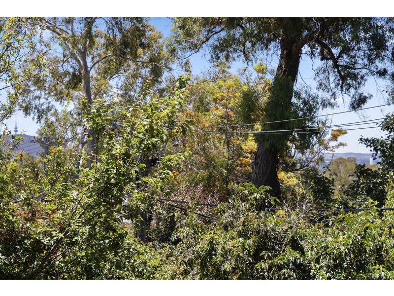 4 Beagle Street, Red Hill ACT 2603