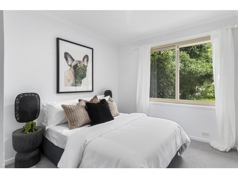49 Theodore Street, Curtin ACT 2605