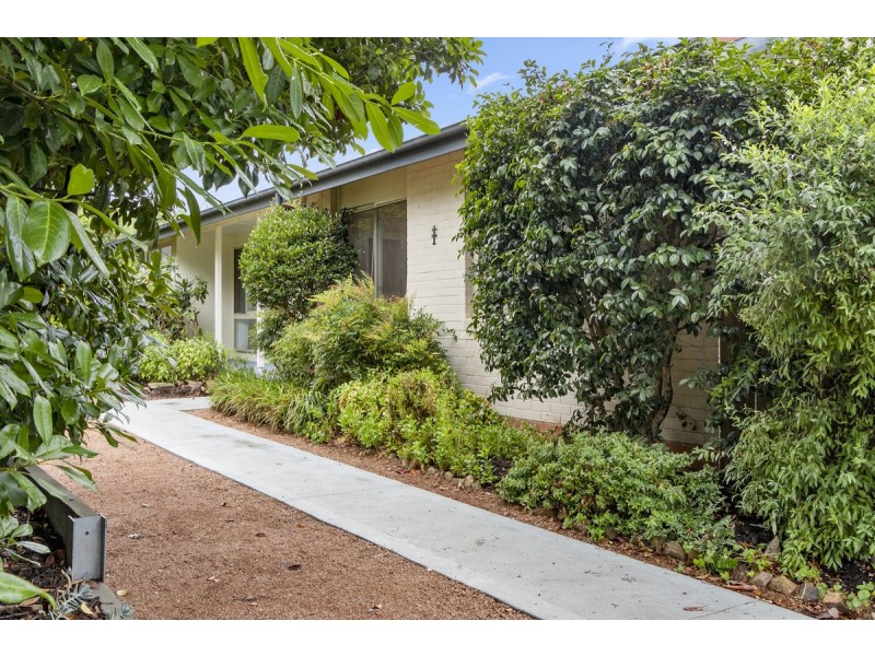 49 Theodore Street, Curtin ACT 2605