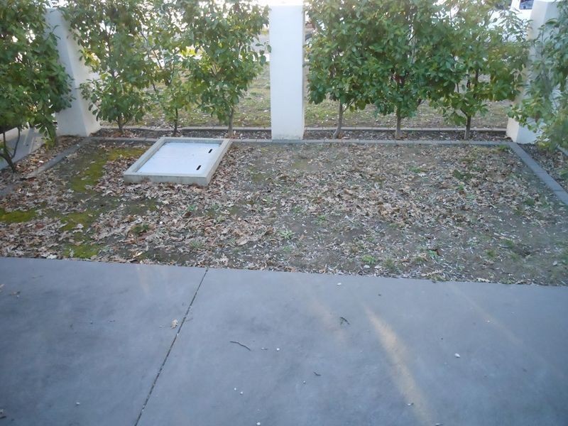 2/19 De Burgh Street, Lyneham ACT 2602