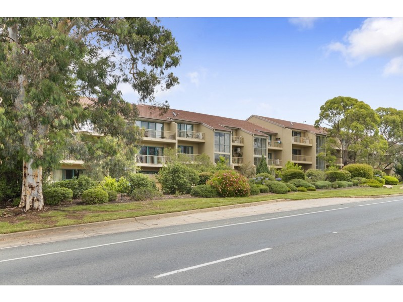 51/53 McMillan Crescent, Griffith ACT 2603