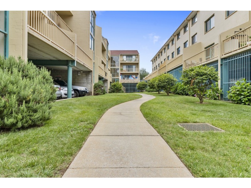 51/53 McMillan Crescent, Griffith ACT 2603