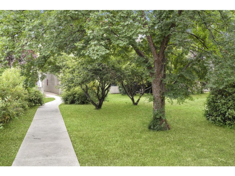 46/6 Wilkins Street, Mawson ACT 2607