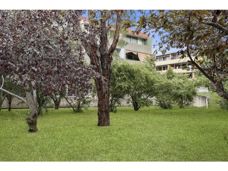 46/6 Wilkins Street, Mawson ACT 2607