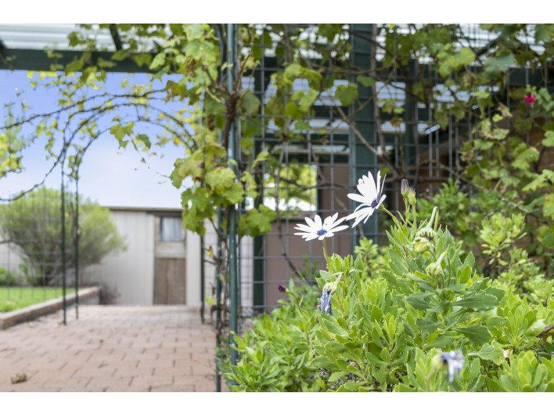 31 Guthridge Crescent, Wanniassa ACT 2903